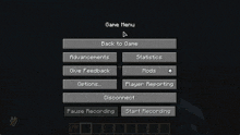 a screenshot of the game menu for a minecraft game