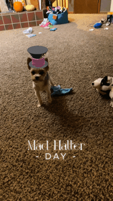 a dog wearing a mad hatter hat is standing on a carpeted floor