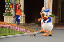 donald duck and goofy standing next to each other