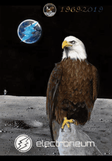 a bald eagle sits on a rock on the moon with the year 1969-2019