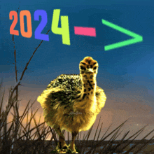 an ostrich is standing in the grass with the year 2024 written above it