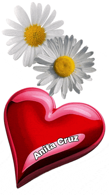 a red heart with anita cruz written on it next to two daisies