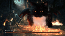 a video game screen shows a knight fighting a black cat named uni