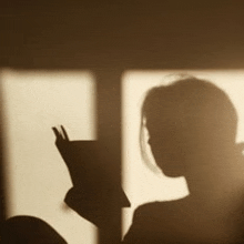 a shadow of a woman reading a book is cast on a wall .