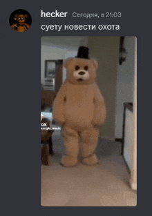 a screenshot of a teddy bear dancing with the name hecker at the top