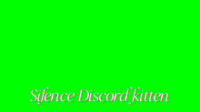 a green screen with the words silence discord kitten written on it .