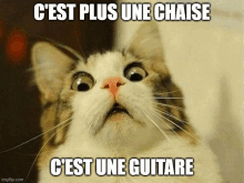 a cat with a surprised look on its face and the words c'est plus une chaise c'est une guitare below it