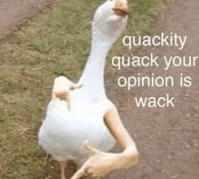 a white goose with arms and legs is standing on a dirt road .