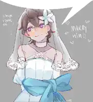 a drawing of a girl in a wedding dress with the words marry him written on it