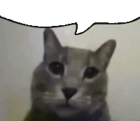 a cat is looking at the camera with a speech bubble above its head .