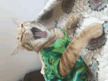 a cat with its mouth open wearing a green shirt