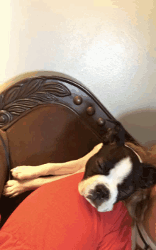 a black and white dog is laying on a person 's shoulder