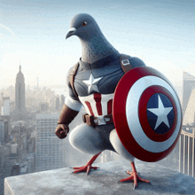 a pigeon dressed up as captain america holds a shield