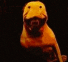 a close up of a yellow duck with its mouth open in the dark .