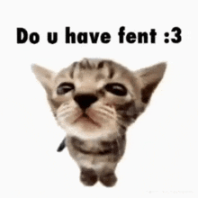 a cat is standing on its hind legs and looking up at the camera with the words `` do u have fent : 3 '' .