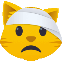 a cat with a bandage on its head