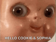 a close up of a doll 's face with the words hello cookie & sophia above it