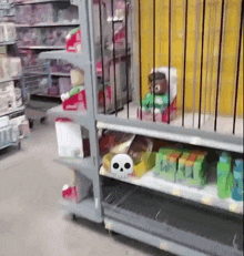 a store shelf with a skull on it and a cage in the background