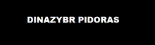 a black background with the words dinazybr pidoras written in white