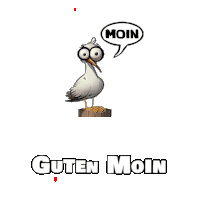 a cartoon seagull with a speech bubble that says " moin "