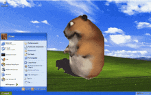 a computer screen with a hamster on it and the start menu open