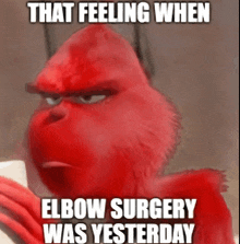 a picture of a grinch with a caption that says that feeling when elbow surgery was yesterday