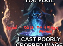 a picture of a wizard with the caption " you fool and cast no image "