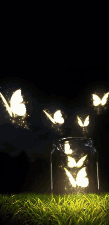 butterflies are flying out of a mason jar in the grass