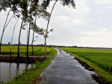 a person riding a bike down a road in the countryside