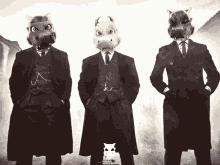 three men with hippo masks on their heads