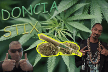 snoop dogg giving a thumbs up in front of a marijuana plant and a doncia stix