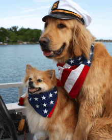 a dog wearing a captain 's hat is sitting next to another dog wearing an american flag bandana