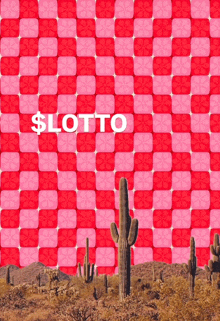 a pink and red checkered background with a cactus in the foreground