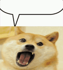 a picture of a dog with its mouth open and a speech bubble above it