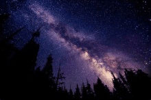 the milky way galaxy is visible in the night sky above a forest .