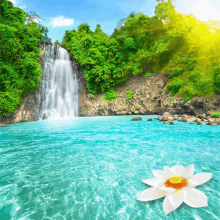 a waterfall with a white flower in the foreground