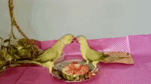 two birds standing next to a plate of food on a table