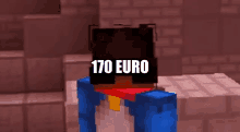 a minecraft character with a head that says 170 euro on it 's head .