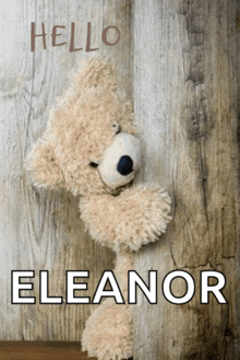 a teddy bear peeking out from behind a wooden wall that says hello eleanor