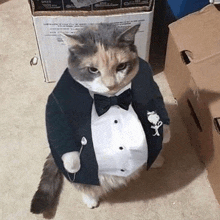 a cat wearing a tuxedo and bow tie is standing next to a box .