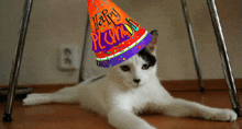 a cat wearing a party hat that says happy birthday on it