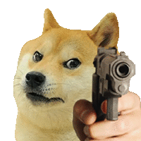 a person is pointing a gun at a dog that is looking at the camera