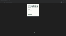 a screenshot of a web page that says denia electronic