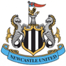 a coat of arms for newcastle united shows a shield with horses and seahorses .