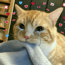 a cat with tears coming out of its eyes and hearts around it