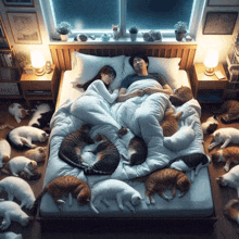 a man and a woman are sleeping on a bed surrounded by many cats