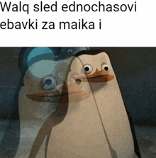 a picture of two penguins with a caption that says walq sled ednochasovi