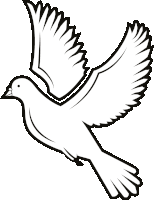 a black and white drawing of a bird flying with its wings spread