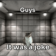 a cat sitting in a room with the words " guys it was a joke " above it