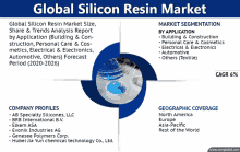 an advertisement for the global silicon resin market with company profiles